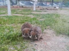 -秦皇岛野生动物园
