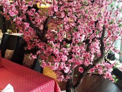 -真爱中国餐馆·年华店(朱雀大街店)