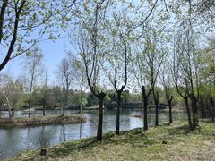 -长春净月潭风景名胜区