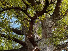 -浮山风景名胜区