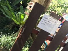 -清迈女子监狱马杀鸡(无分店)