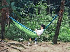 -铁山坪森林公园