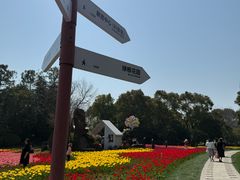 -上海鲜花港