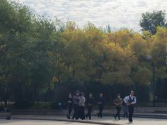 -张店儿童公园