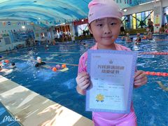 -鲨鱼游泳培训中心