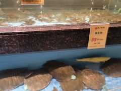 -西贝海鲜汇(槐安路店)