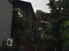 -树厨贵州菜(大十字店)