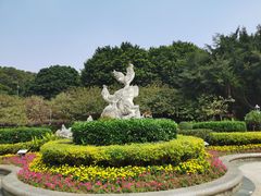 -金鸡山公园