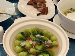 -圆苑(静安寺店)