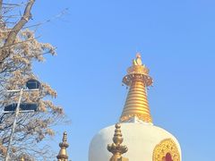-护国法轮寺