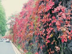 android_upload_pic-乌龙峡谷景区