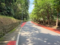 -火炉山森林公园