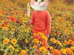 -映月湖中央公园