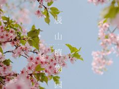 -上海辰山植物园