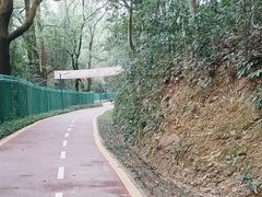 -深圳仙湖植物园