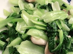 -范记靖远羊羔肉(博物馆店)