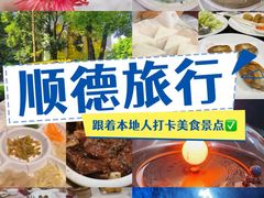 -聚福山莊·寻味顺德(北滘店)
