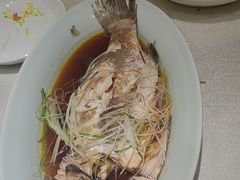 -王厚元饺子·辽菜(浑南店)