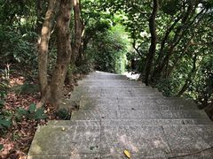 -小南山公园