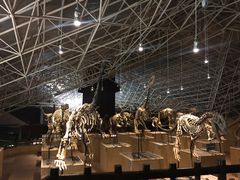 -世界恐龙谷景区