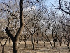 -长春公园(普阳街道)