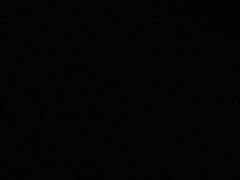 -蝶园·装修中(BFC外滩金融中心店)