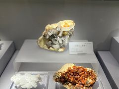 -湖南省地质博物馆