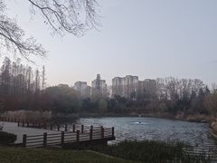 -河南省黄河迎宾馆