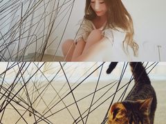 -胶囊画廊