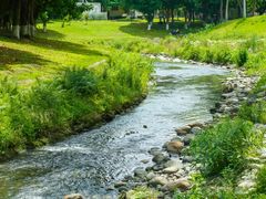 -两河城市森林公园