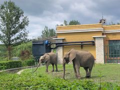 -哈尔滨北方森林动物园