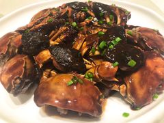 -蝶园·装修中(BFC外滩金融中心店)