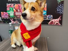 -宠物家(双井店)
