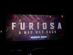 -万达影城(虎门万达广场IMAX店)