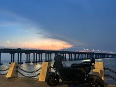 -宝安西湾红树林湿地公园