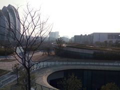 -聚龙湖公园