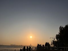 -深圳湾公园(南山区)