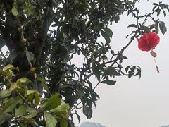 -燊海井