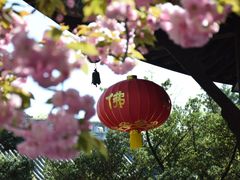 -龙华寺