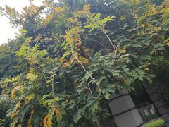 -贵州师范大学(宝山北路校区)