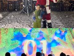 -上海佘山世茂艾美酒店