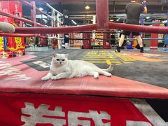 -拳盛时代拳击俱乐部(北京路店)