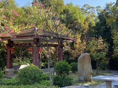 -广州市流溪河国家森林公园