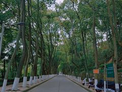-重庆文理学院(星湖校区)