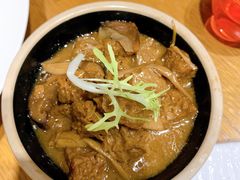 -菩提树·素食餐厅(汇智国际商业中心店)