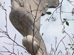 -武汉大学-樱园