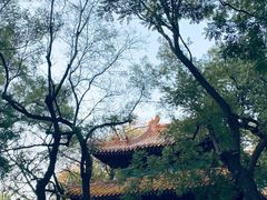 -北京国子监胡同