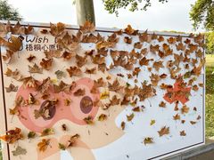 -河南省黄河迎宾馆