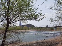 -永定河休闲森林公园