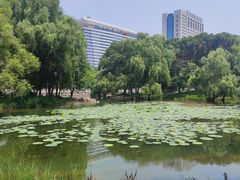 -万泉公园